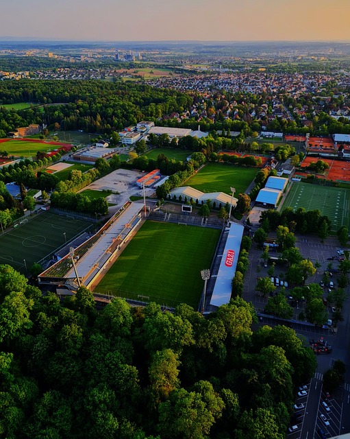 确的发展策 确的发展策